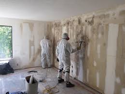  , USA Mold Remediation Pros